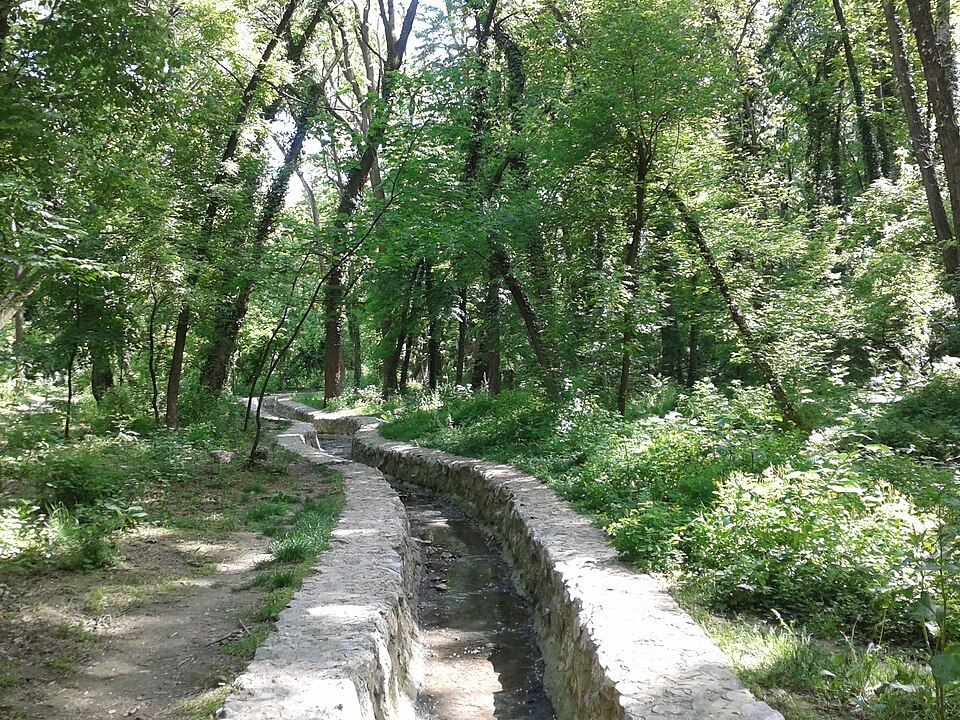 A photograph of Banjica Forest