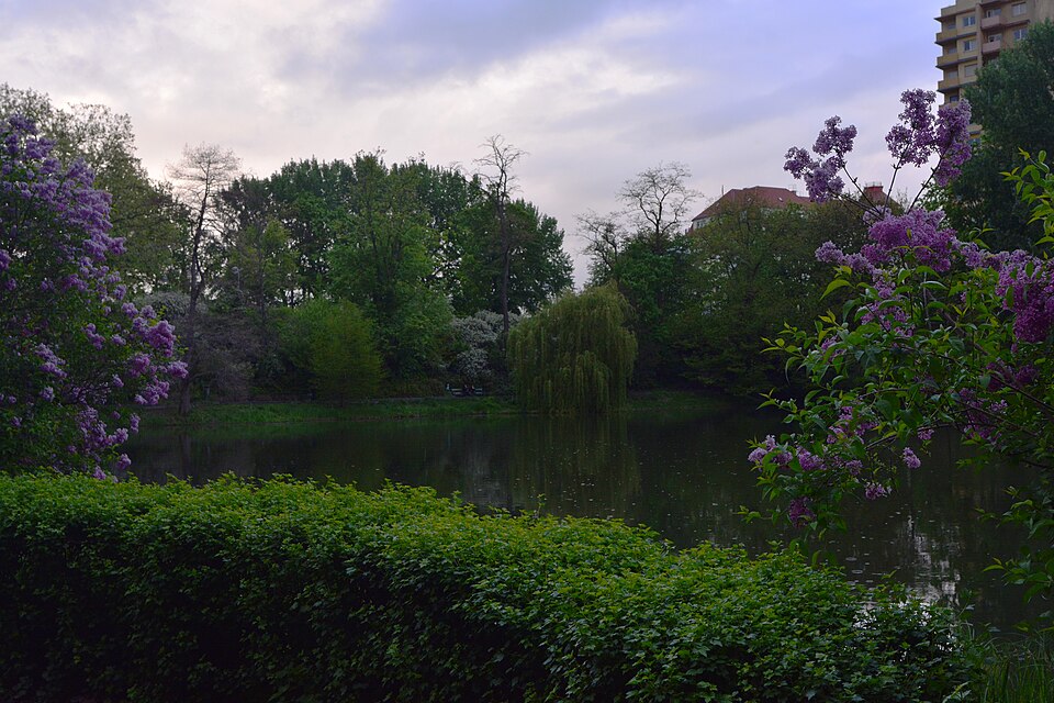 A photograph of Lietzensee