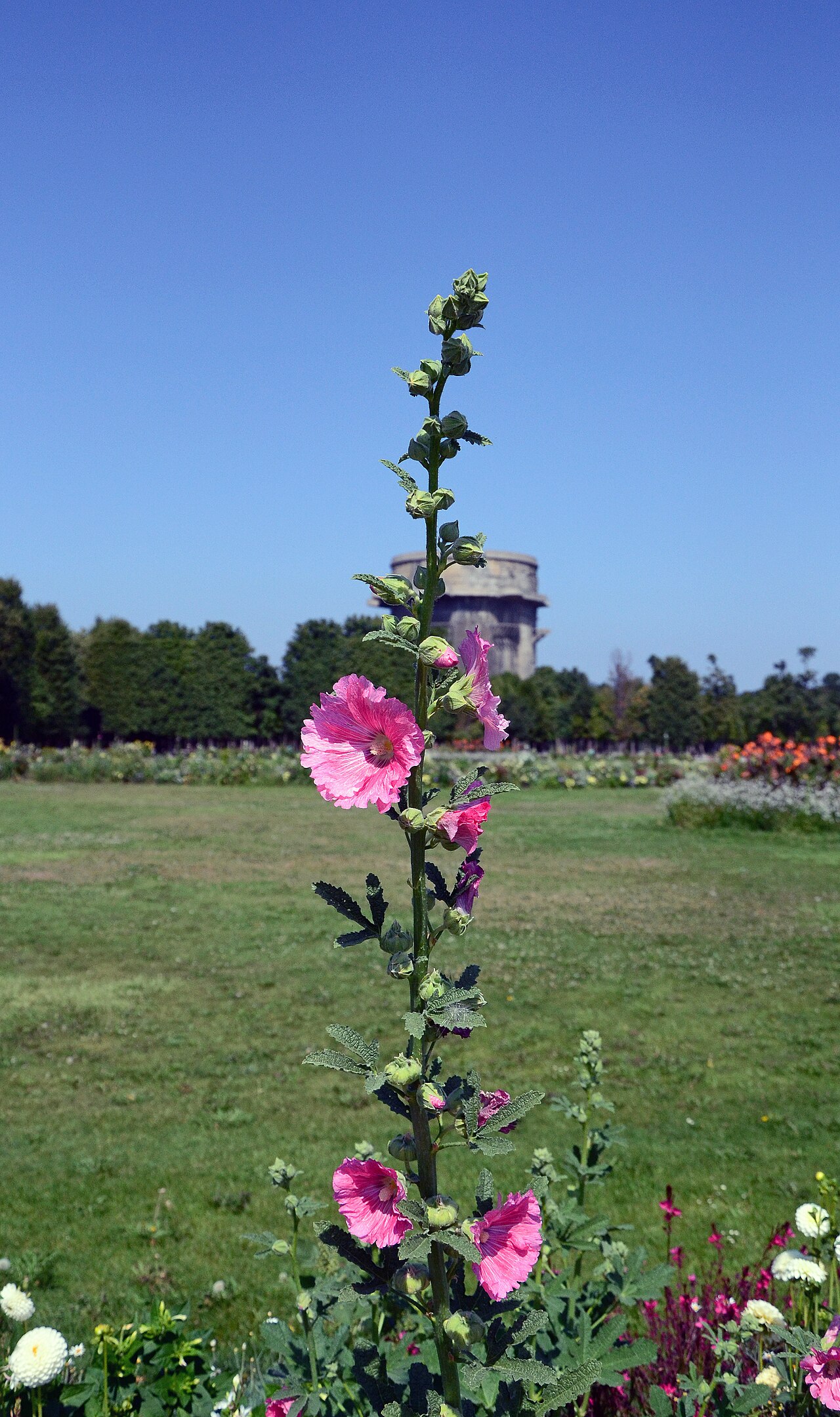 Flakturm Augarten (Gefechtsturm) の写真