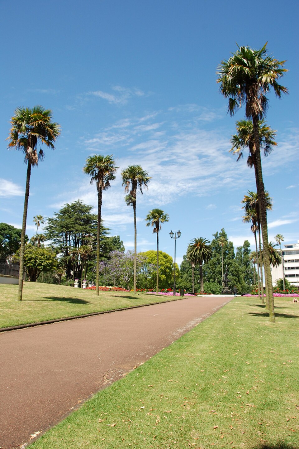 A photograph of Albert Park