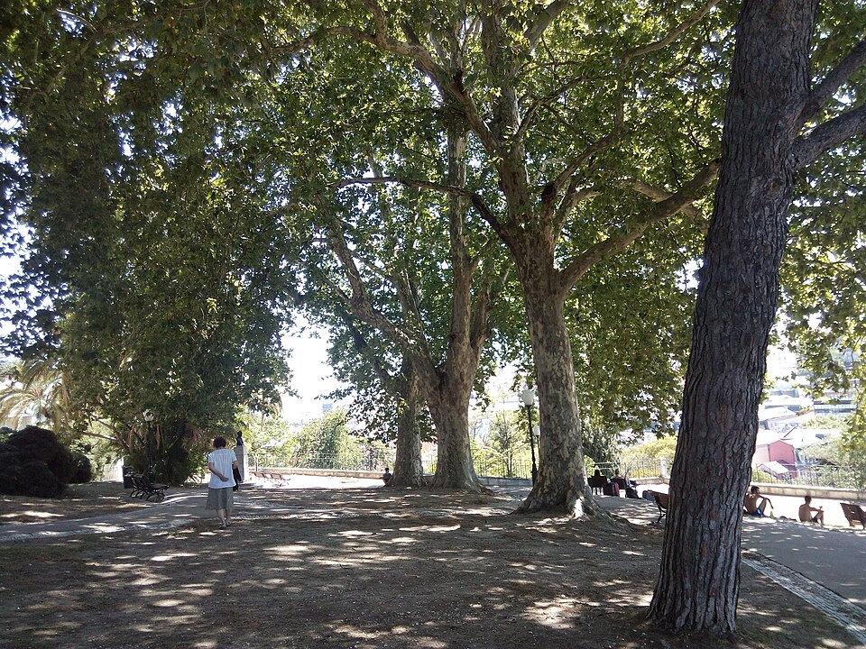 A photograph of Jardim do Torel