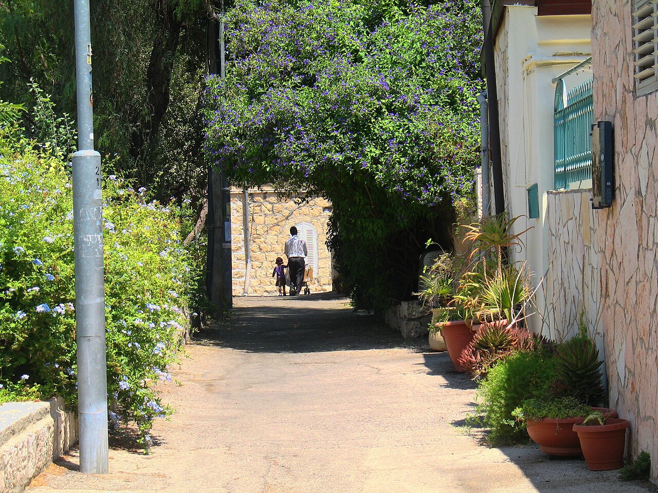 Ohel Moshe