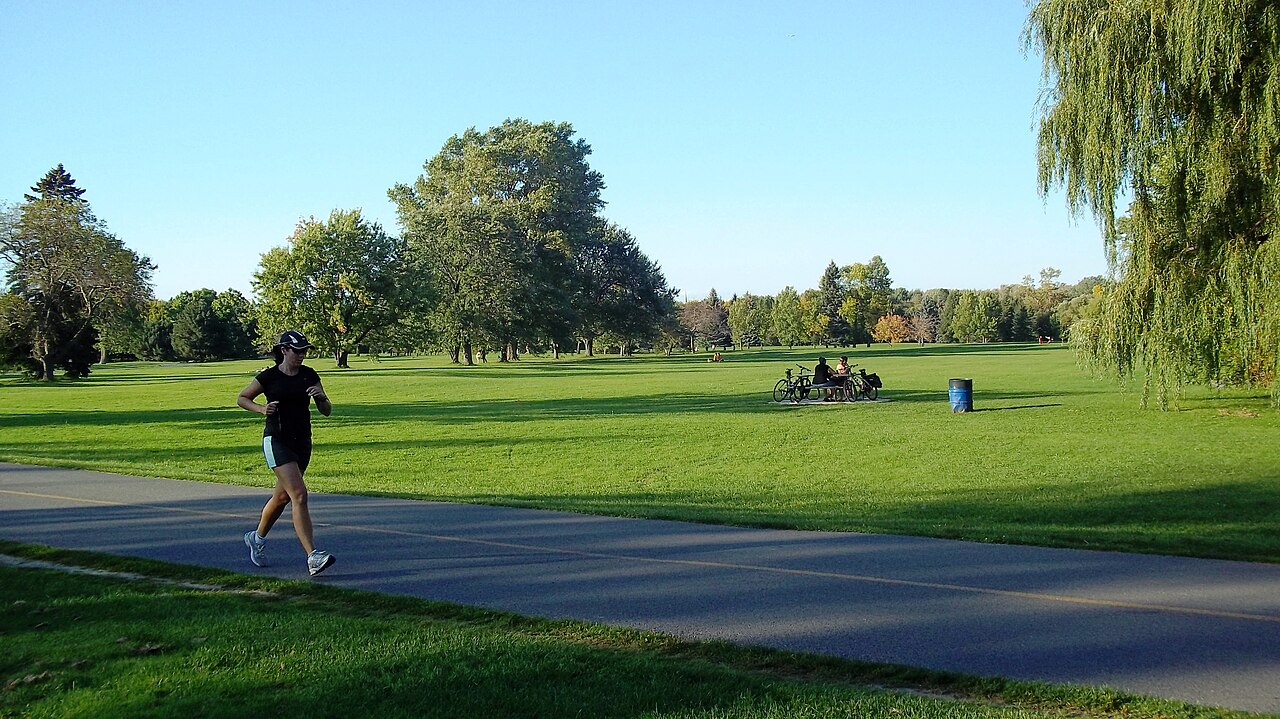 A photograph of Maisonneuve Park