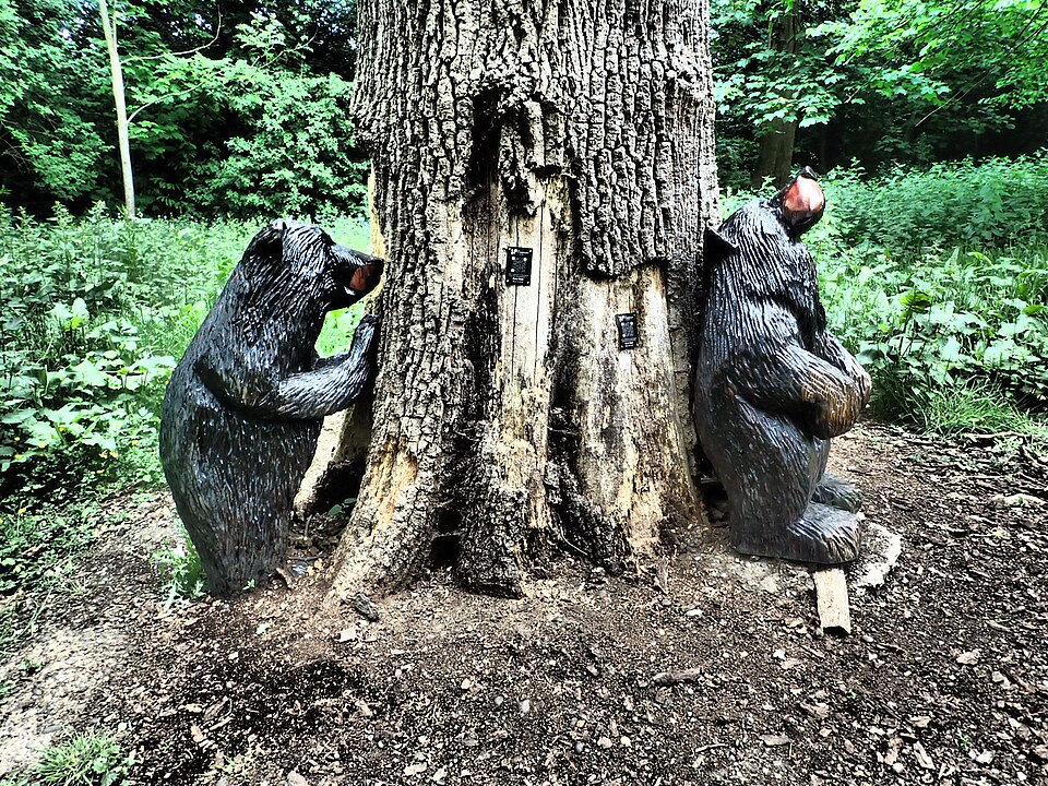 A photograph of Scadbury Park