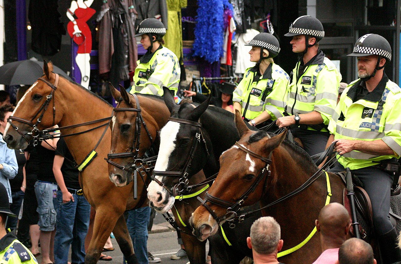 Horse head fotoğrafı
