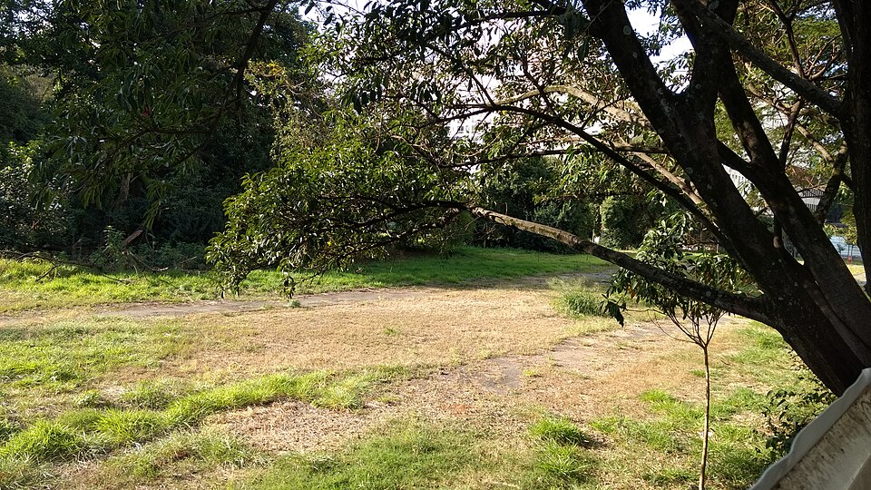 A photograph of Augusta Park