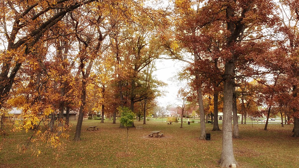 A photograph of Westgate Park