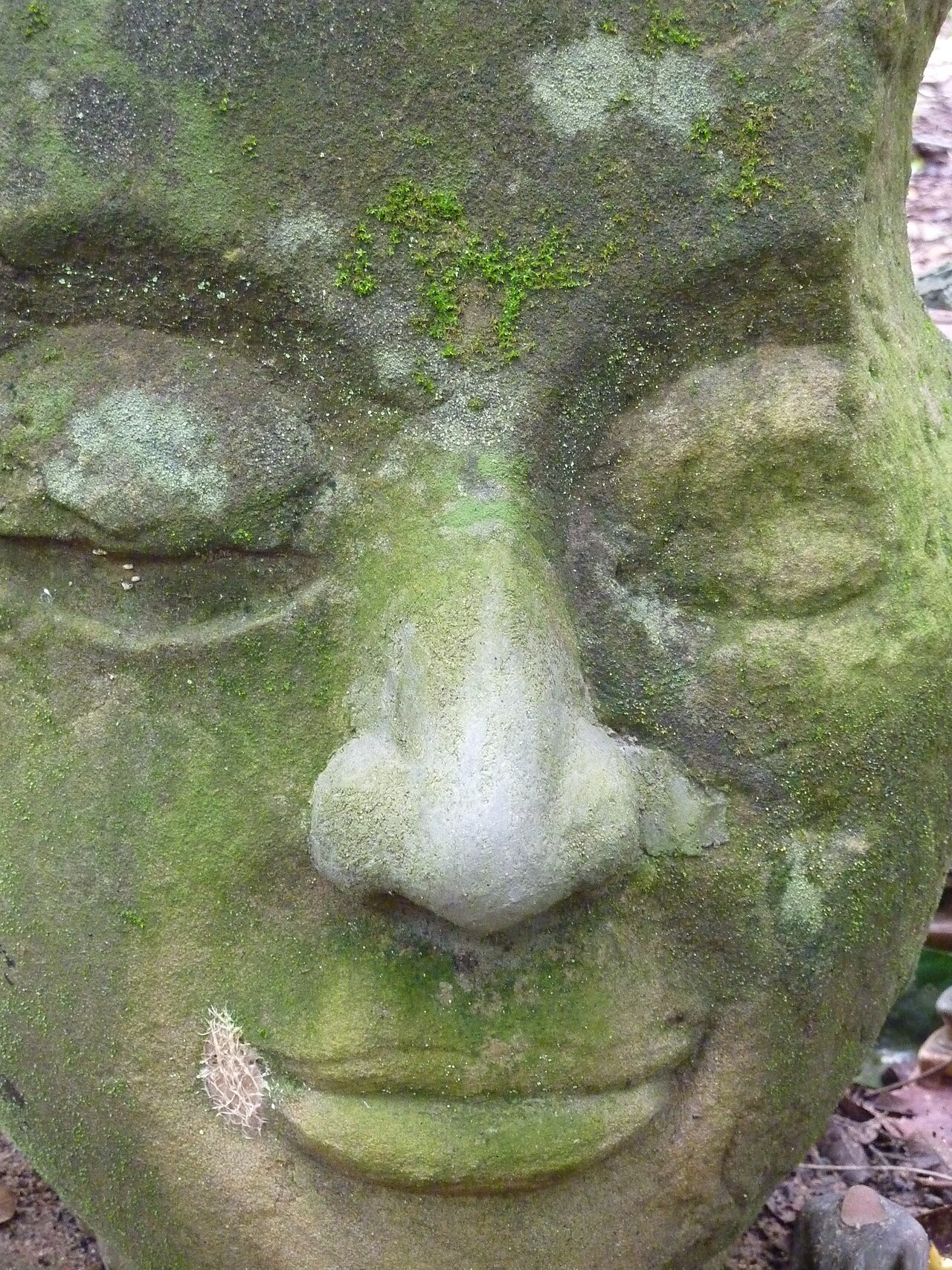 Wat Umong Suan Phutthatham fotoğrafı
