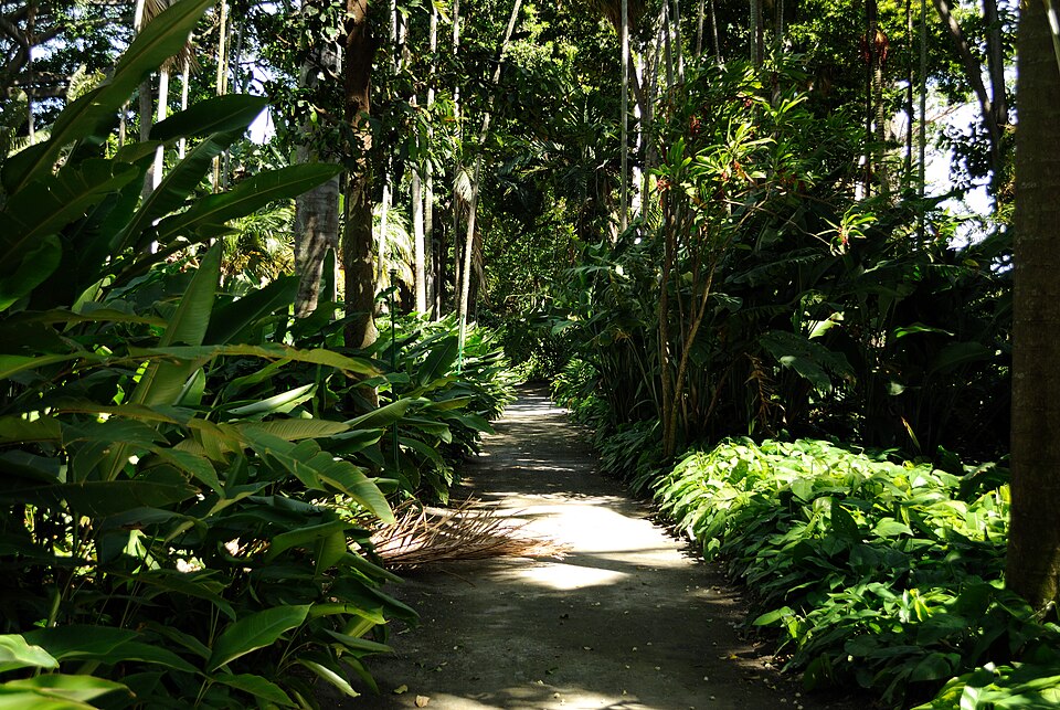 A photograph of Foster Botanical Garden