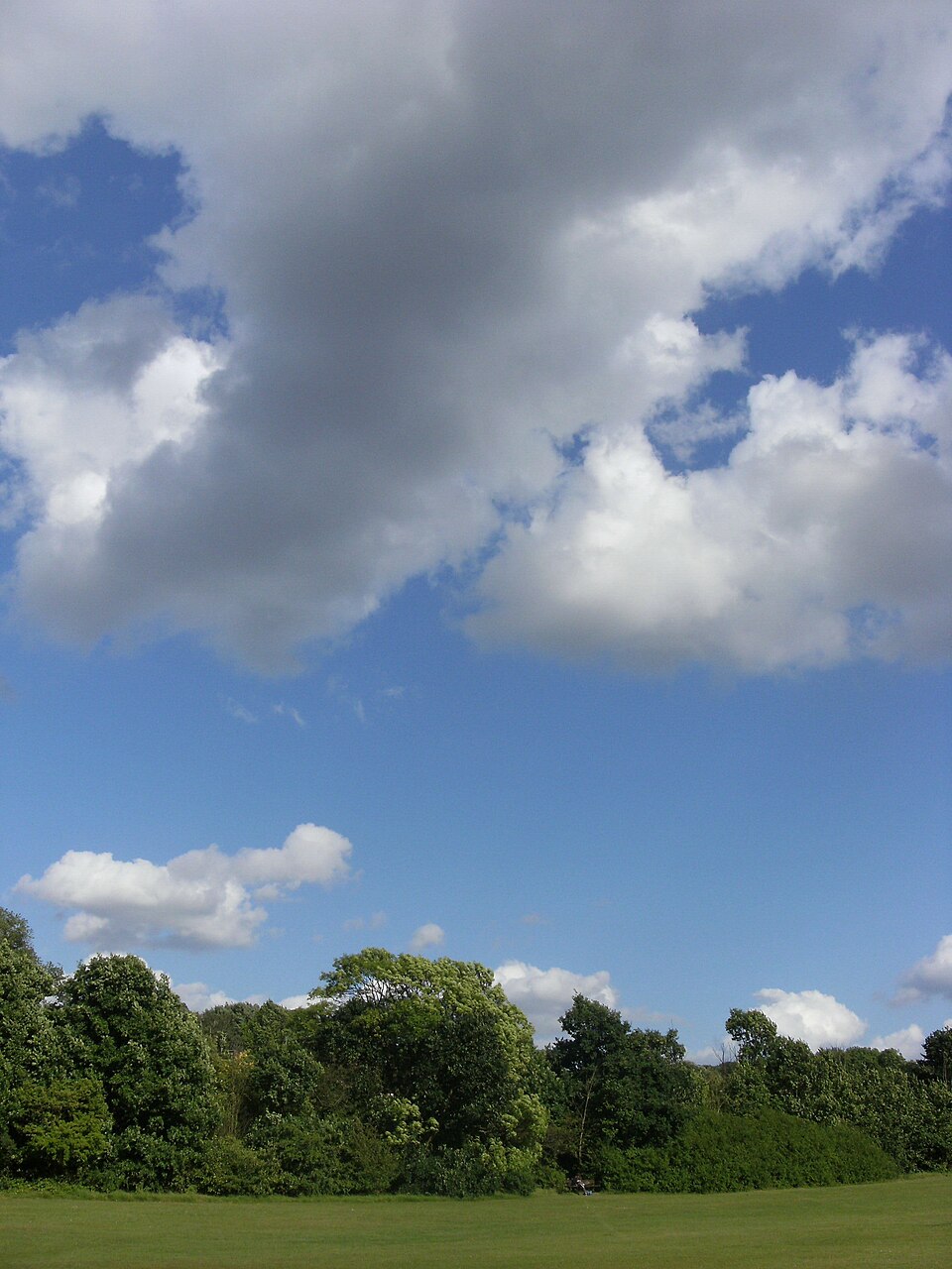 A photograph of Hampstead Heath