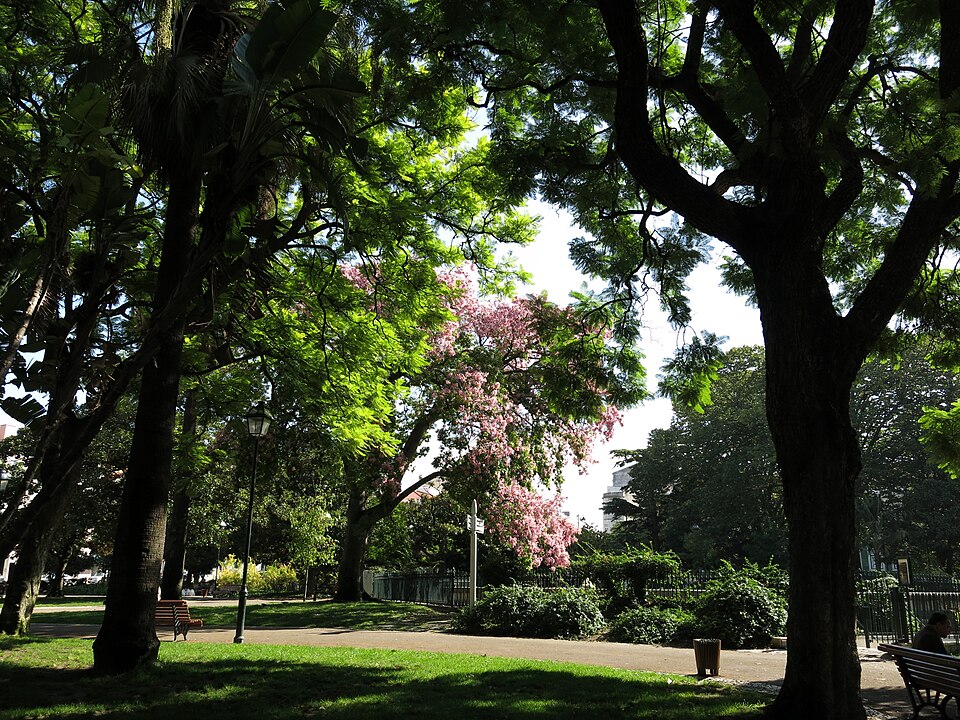 A photograph of Jardim do Príncipe Real