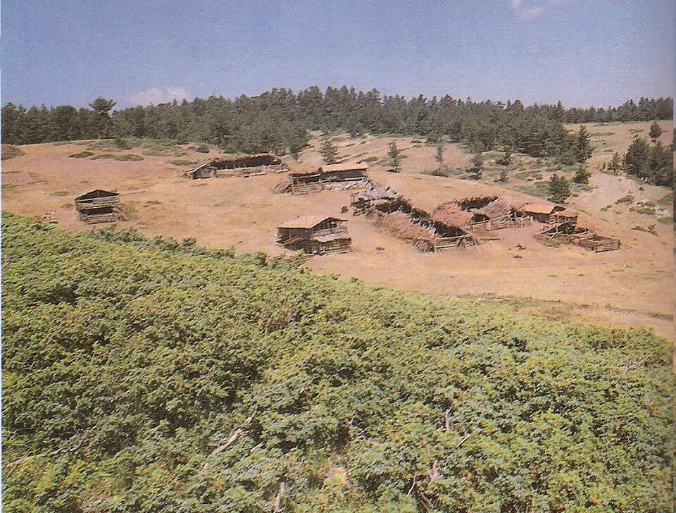 A photograph of Gölet