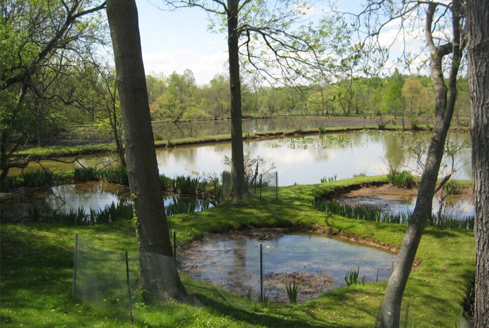A photograph of Kenilworth Park and Aquatic Gardens