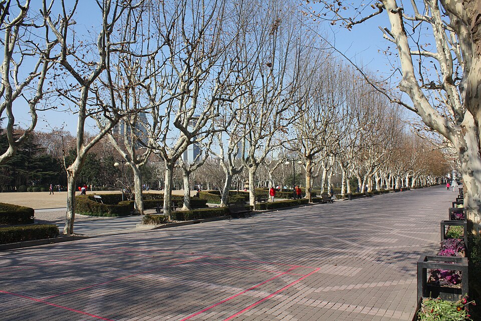 A photograph of Fuxing Park