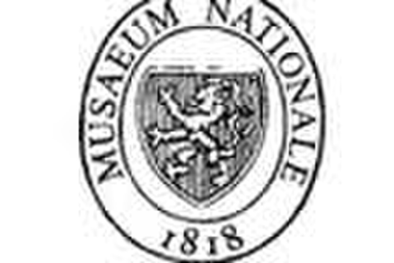 Náprstek Museum の写真
