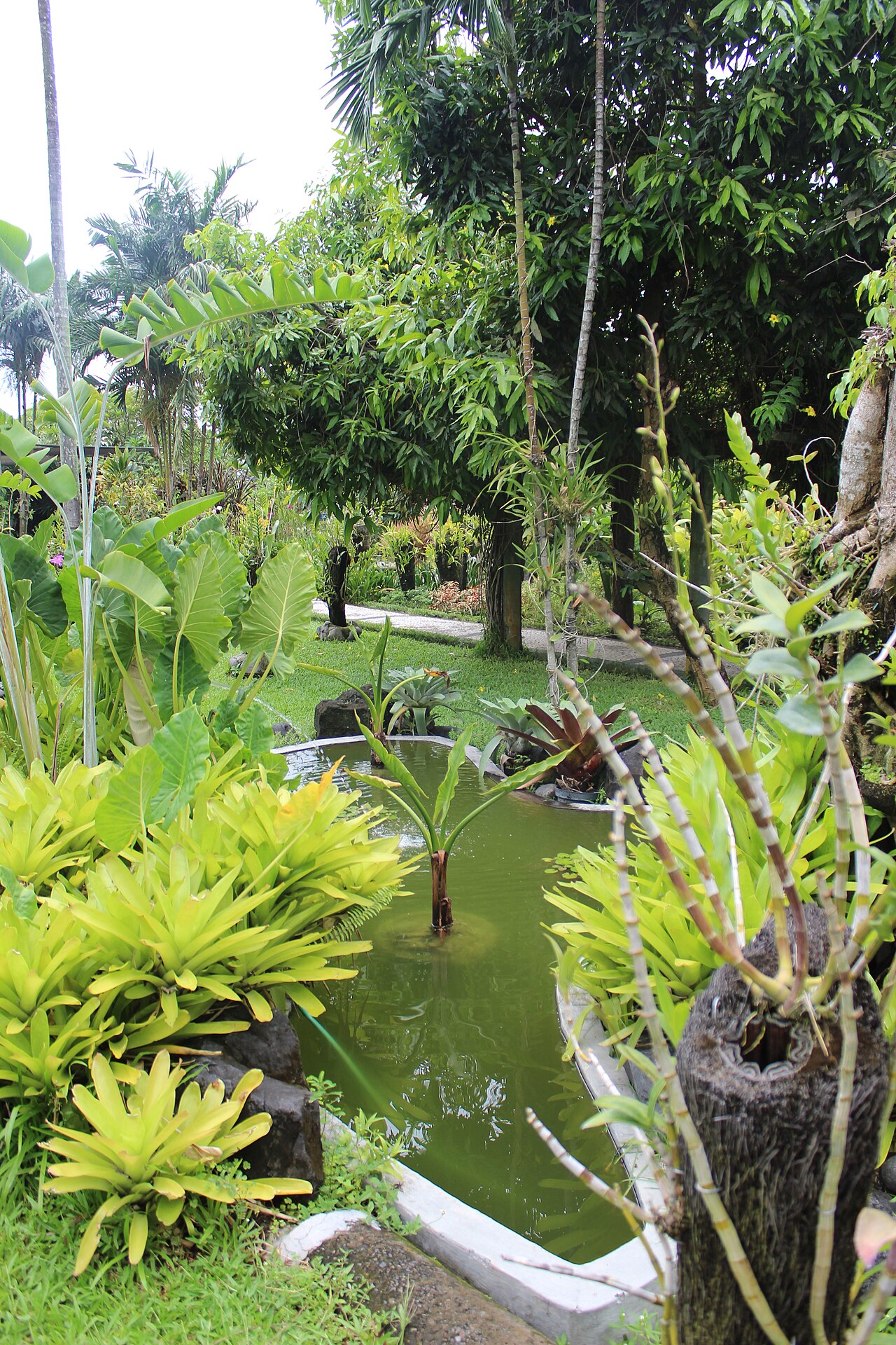 Bali Orchid Garden