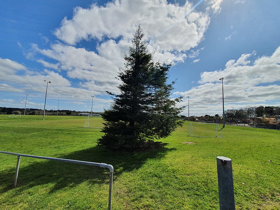 A photograph of Taylor Park