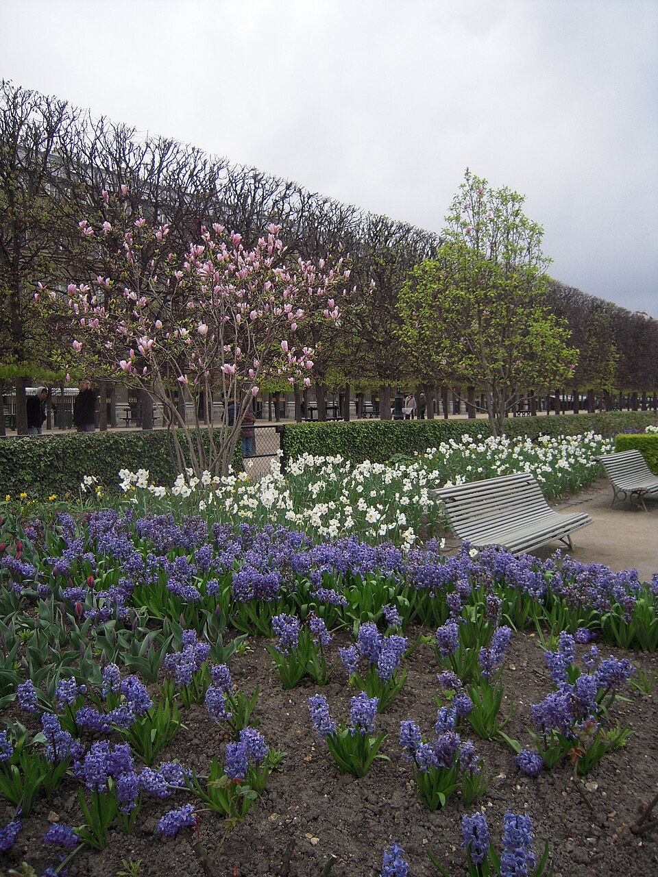 A photograph of Palais-Royal