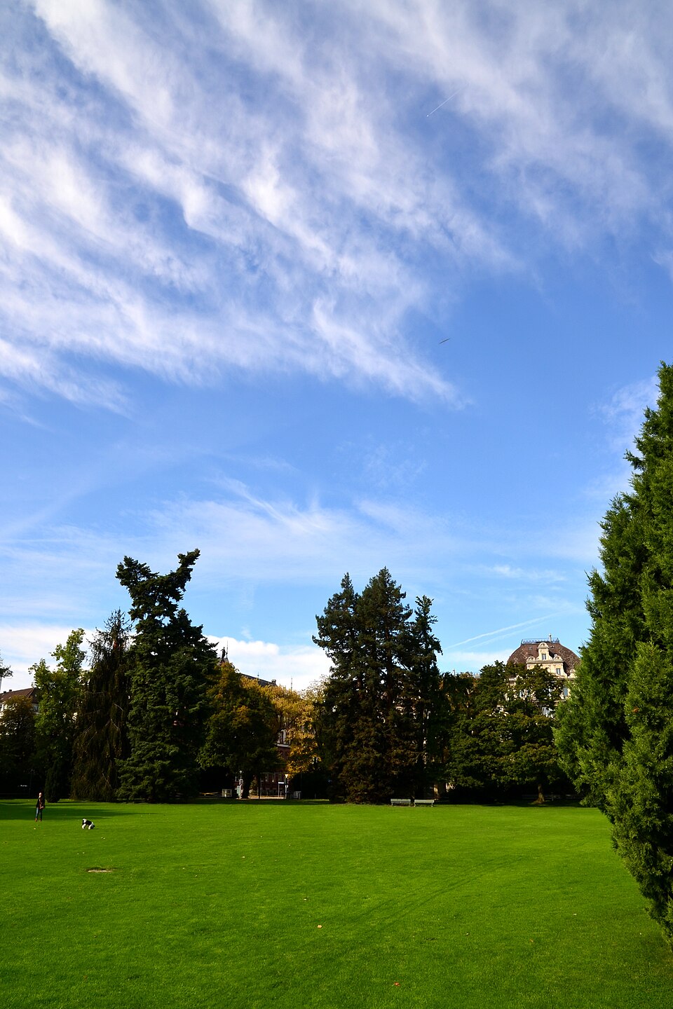 A photograph of Arboretum Zürich
