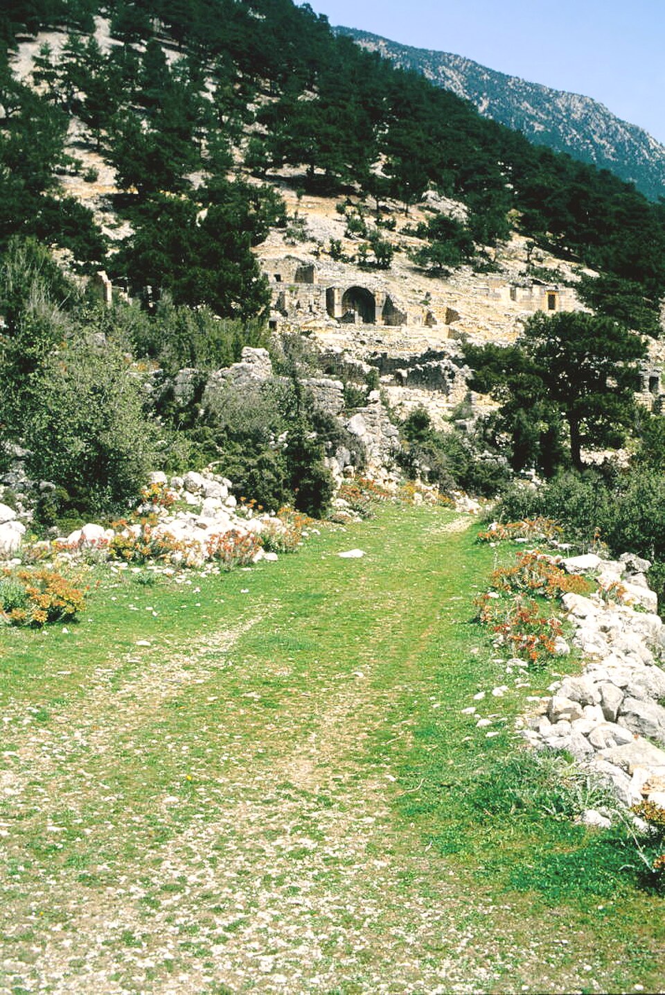 A photograph of Arycanda