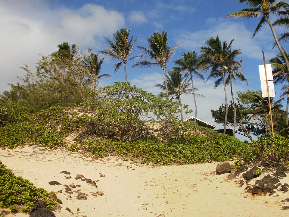 A photograph of Makapuu Beach Park