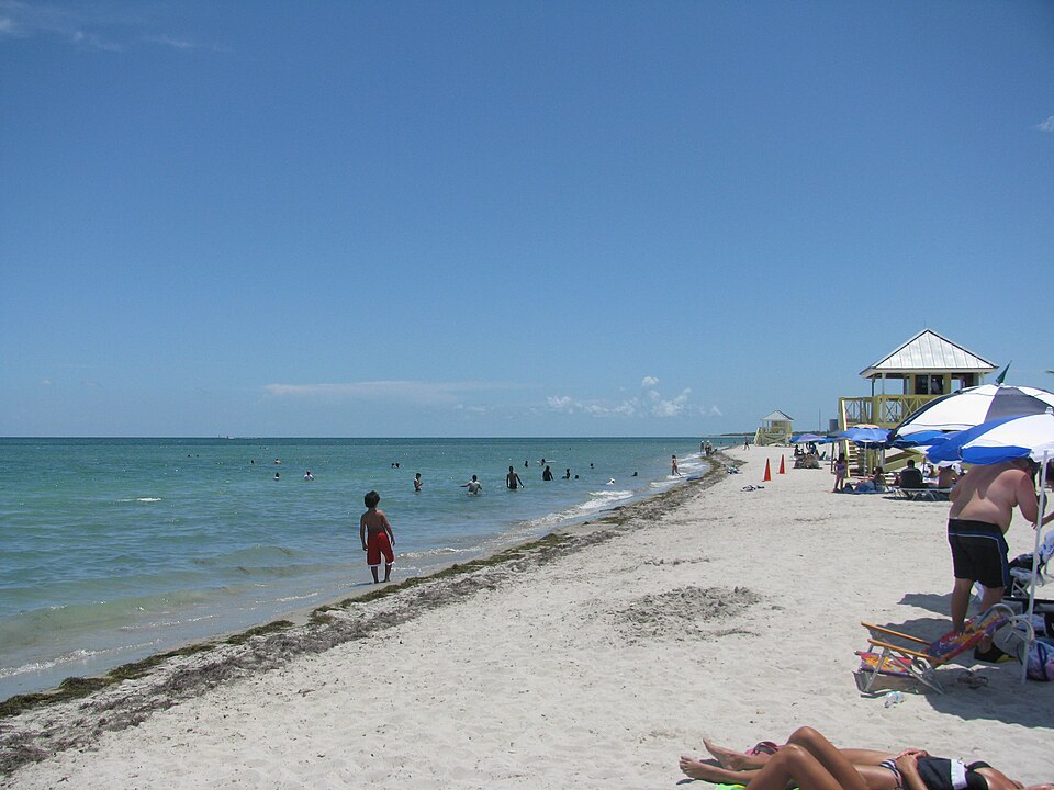 A photograph of Crandon Park