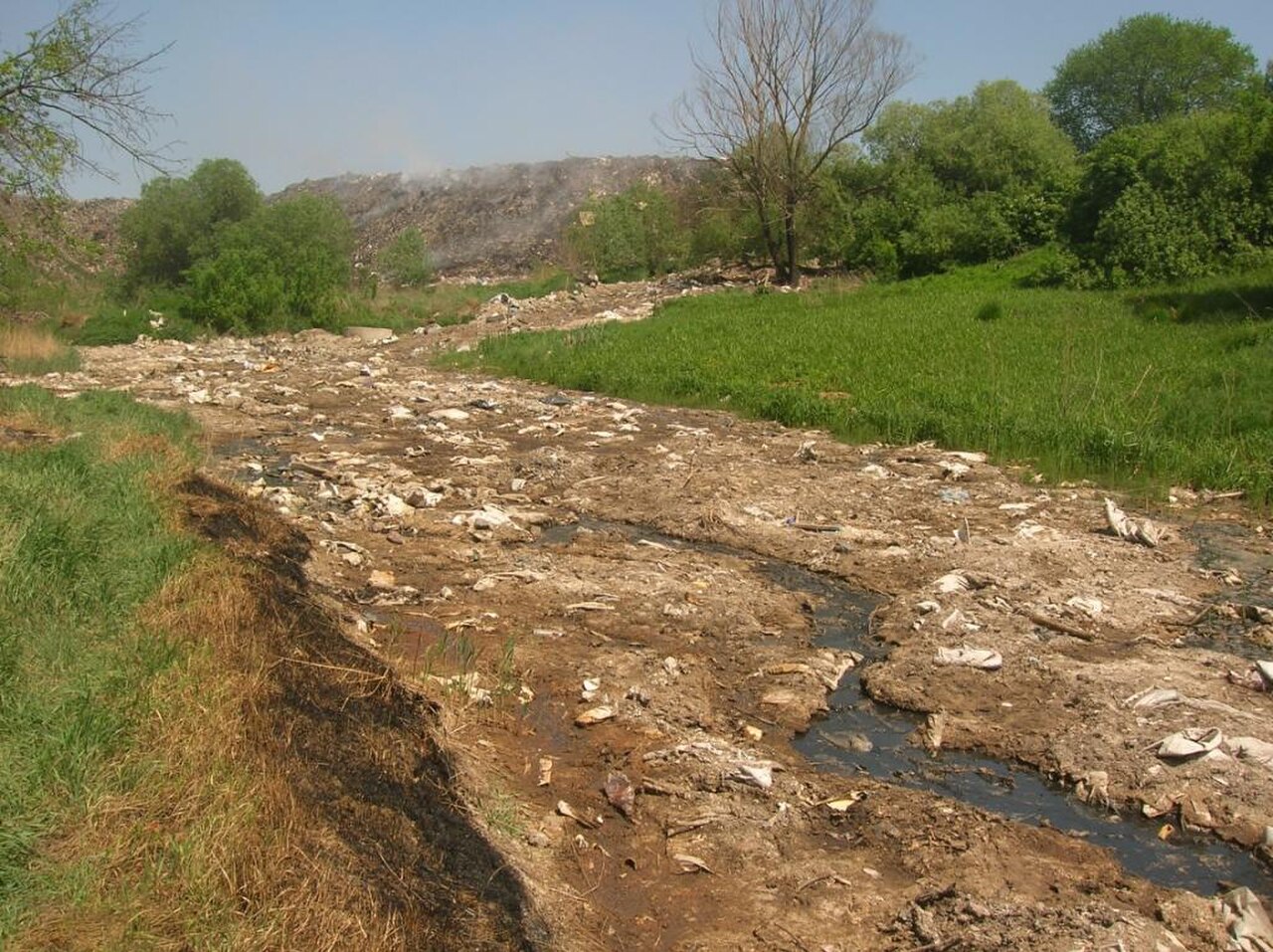 Gully Reserve fotoğrafı