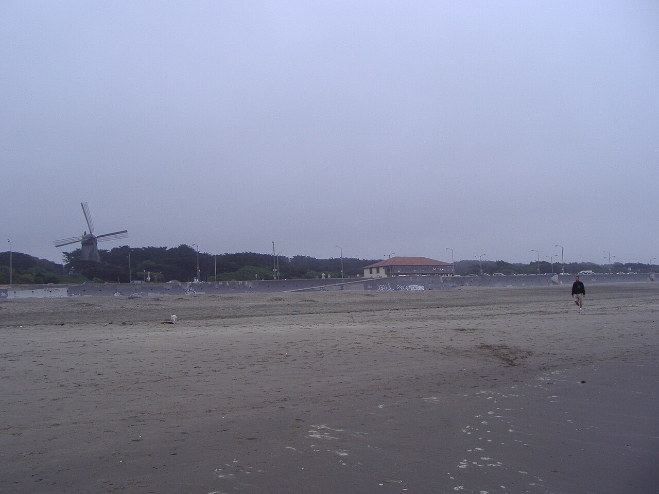 Dutch Windmill의 사진