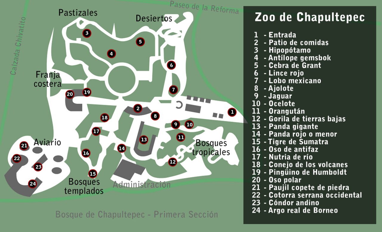 Une photographie de Chapultepec Zoo