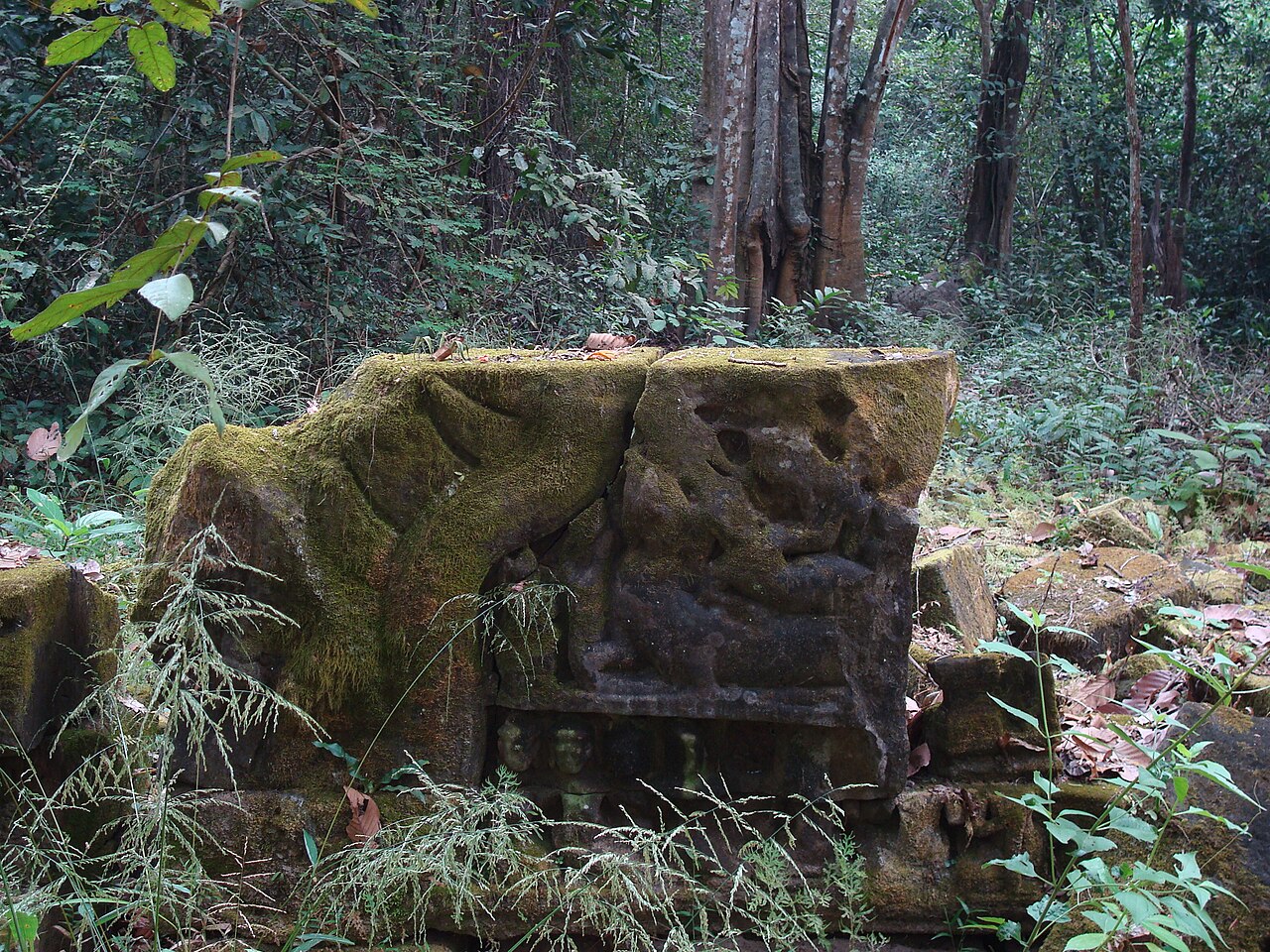 Mangalartha의 사진