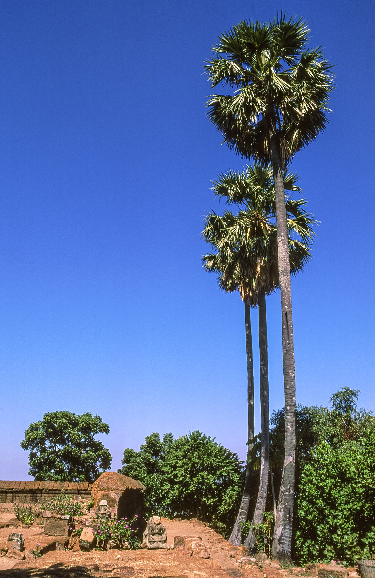 Phnom Krom