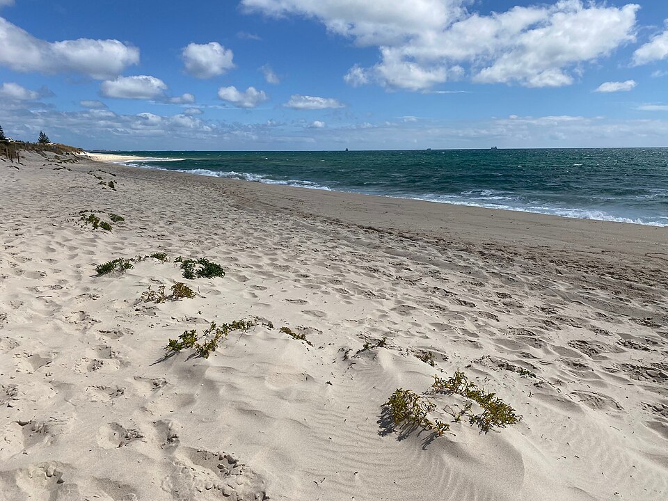 A photograph of Cottesloe Beach