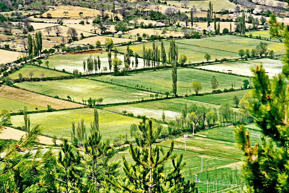 A photograph of Bozdağ