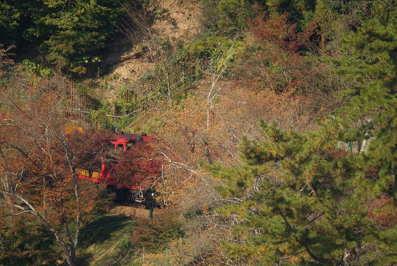 Sagano Scenic Railway fotoğrafı