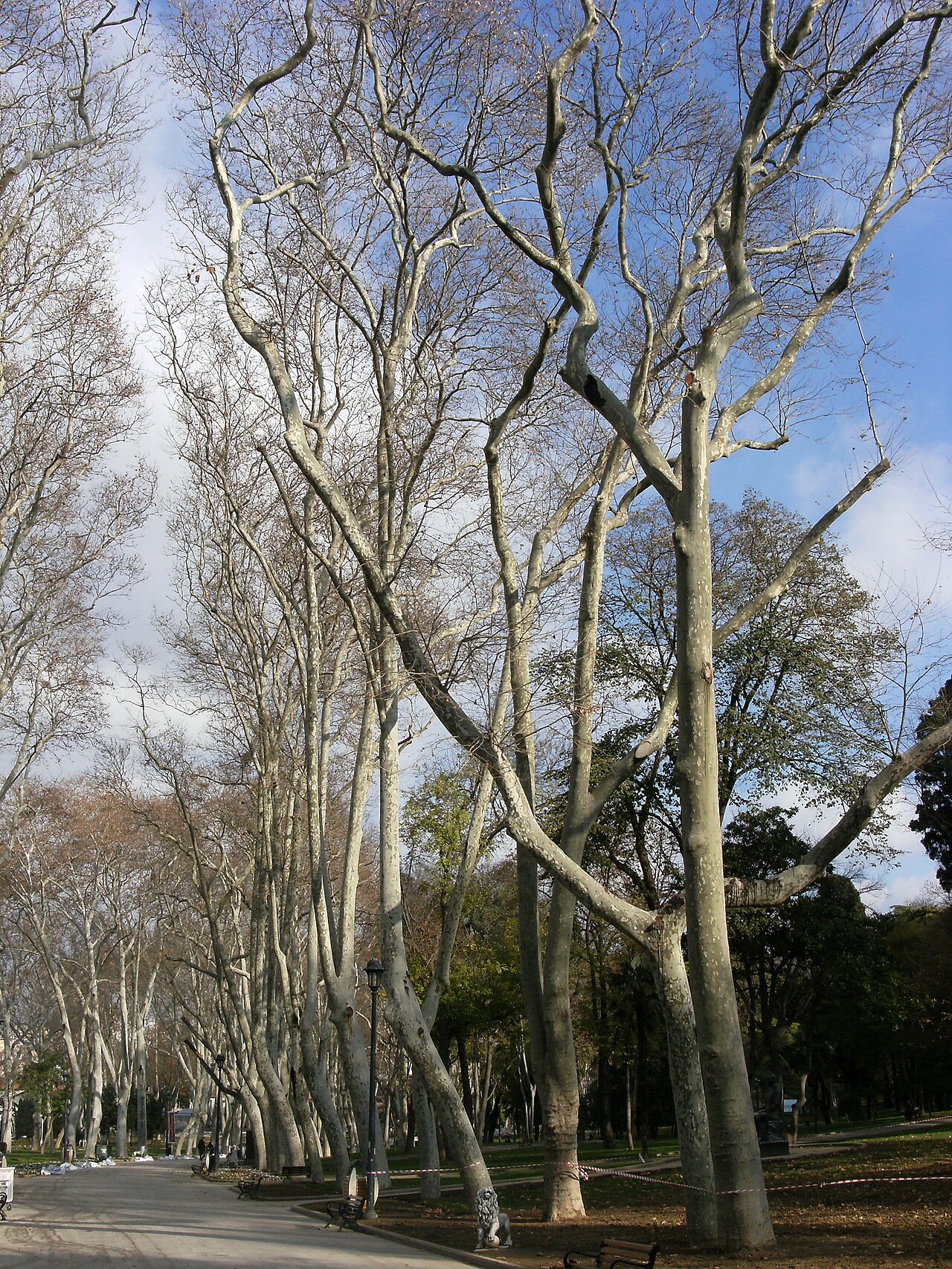 Gülhane Park の写真
