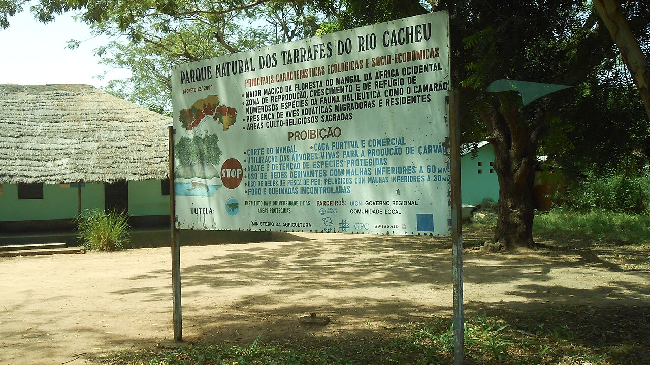 Parque Manglar