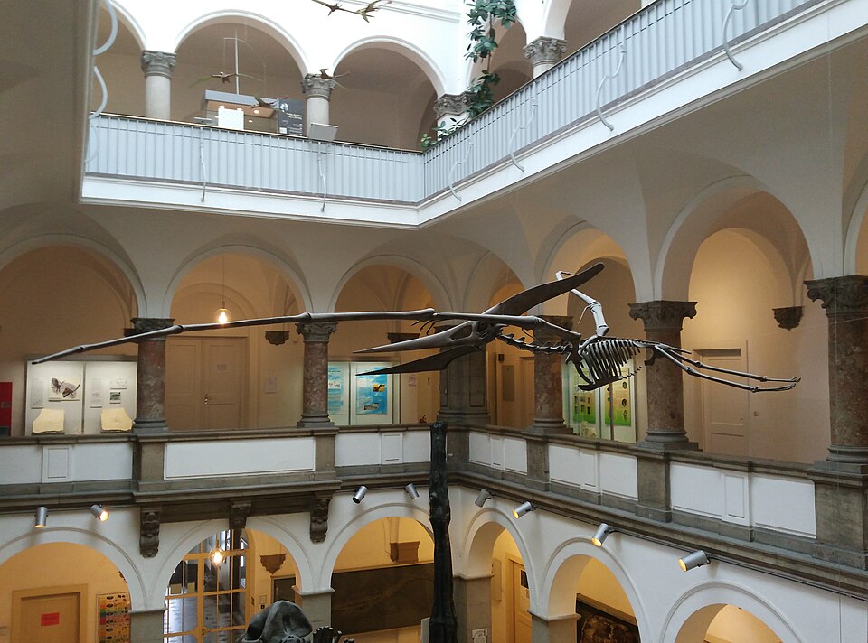 A photograph of Palaeontological Museum
