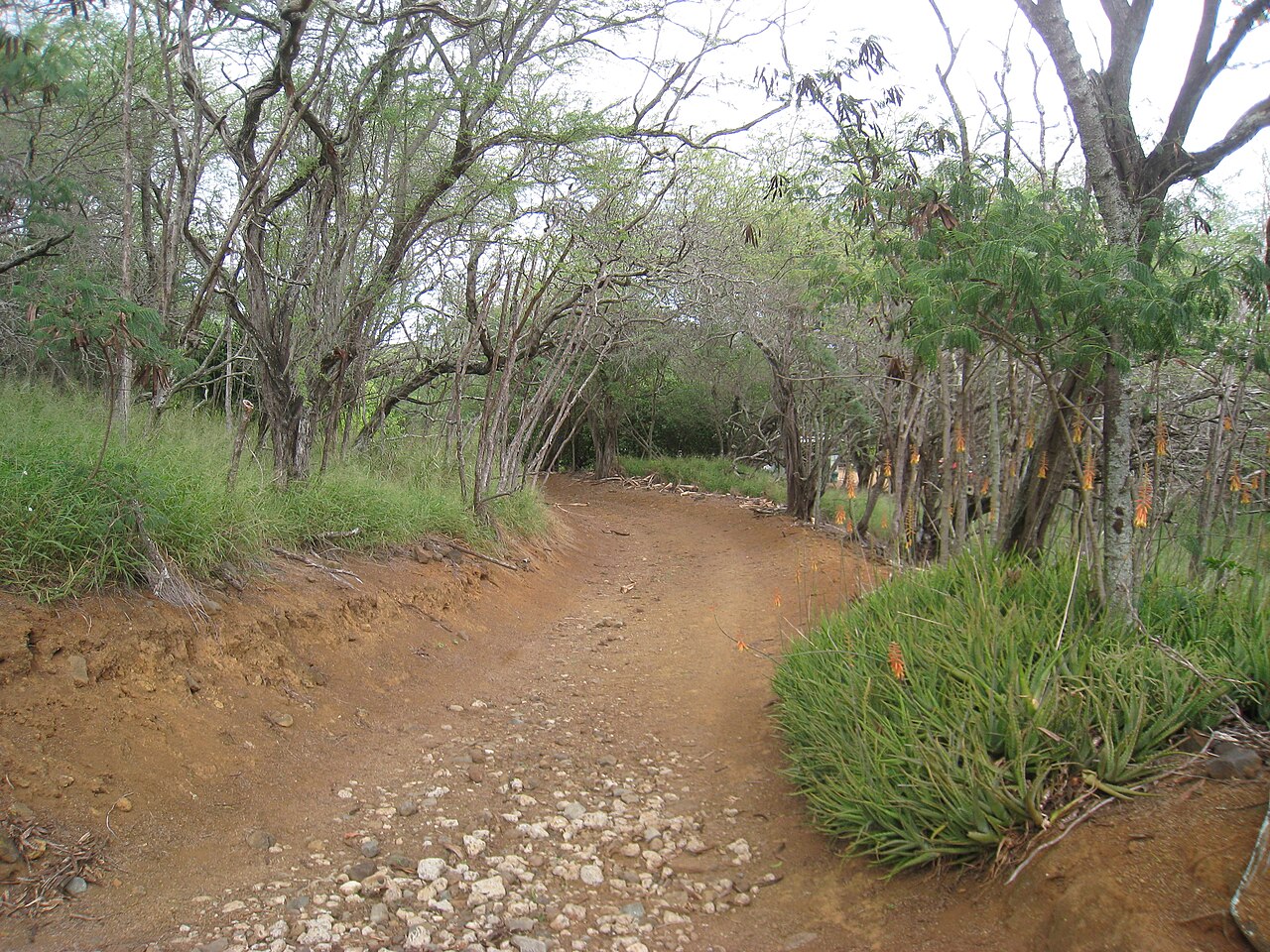 Koko Crater Botanical Garden의 사진