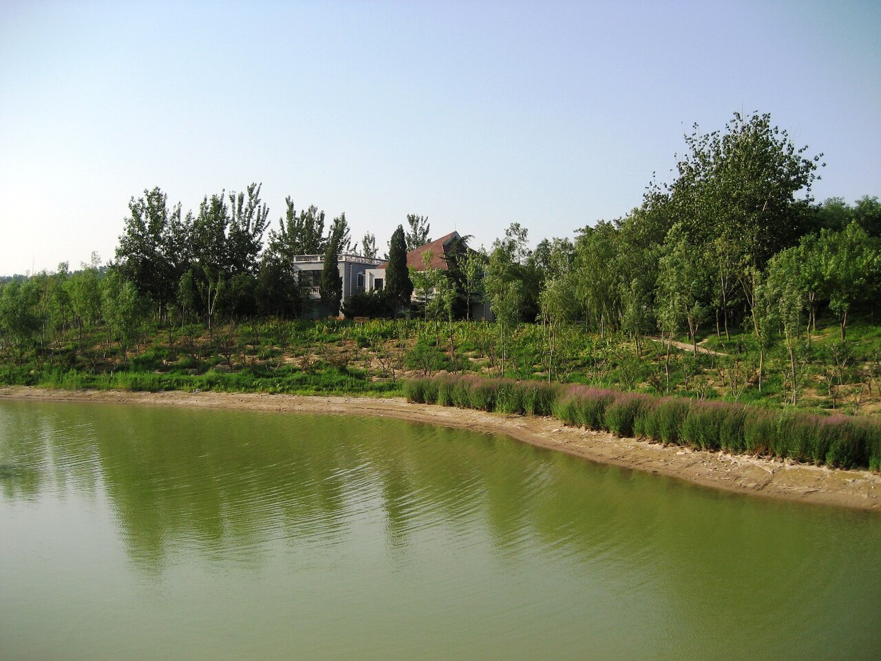 奥林匹克森林公园 fotoğrafı