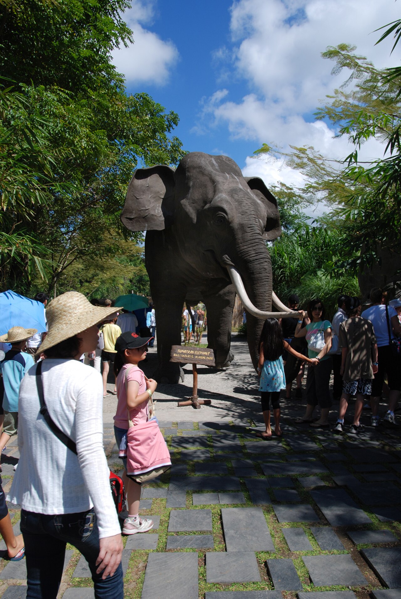Bali Safari and Marine Park fotoğrafı