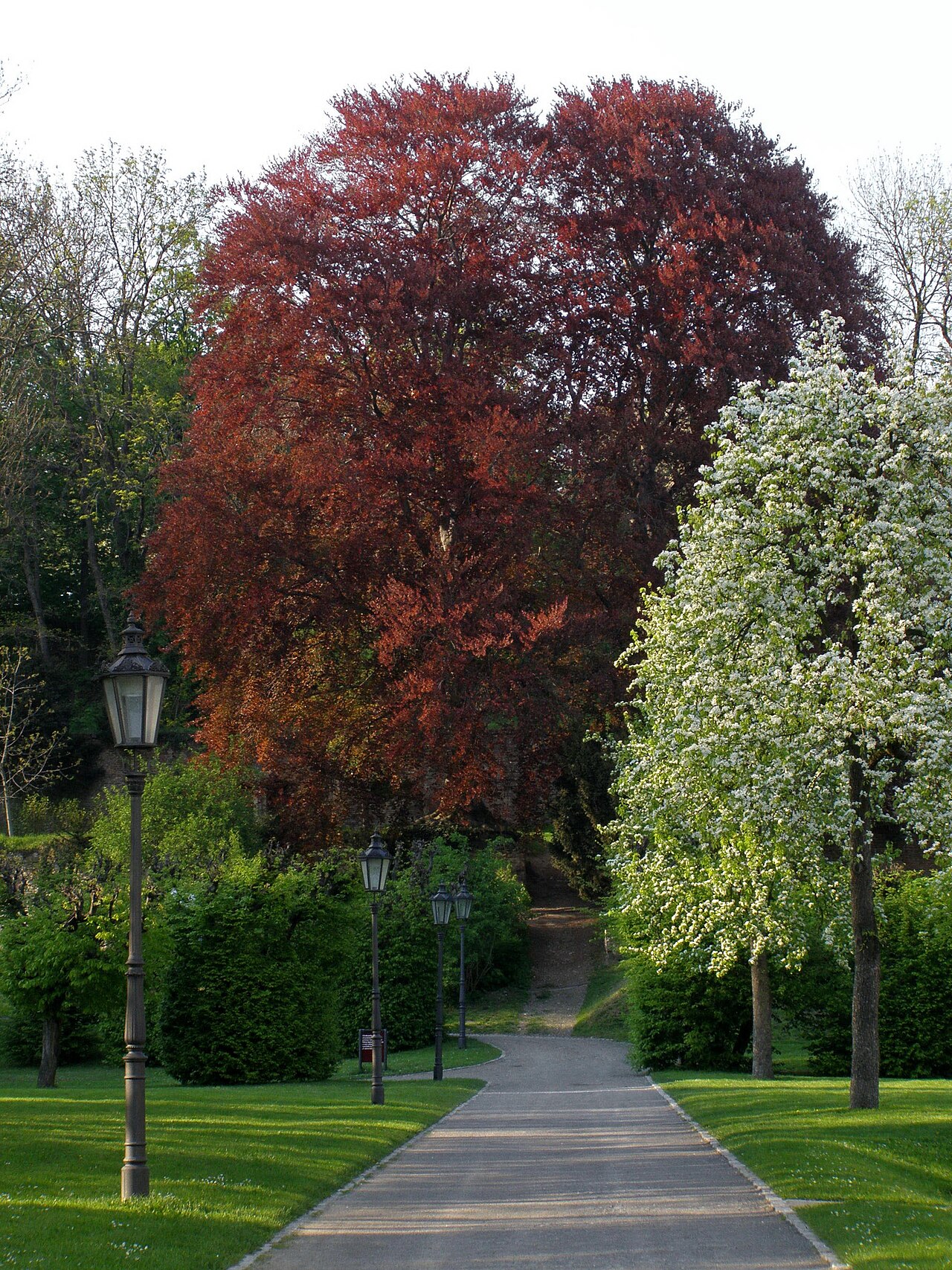 Břevnov Monastery garden