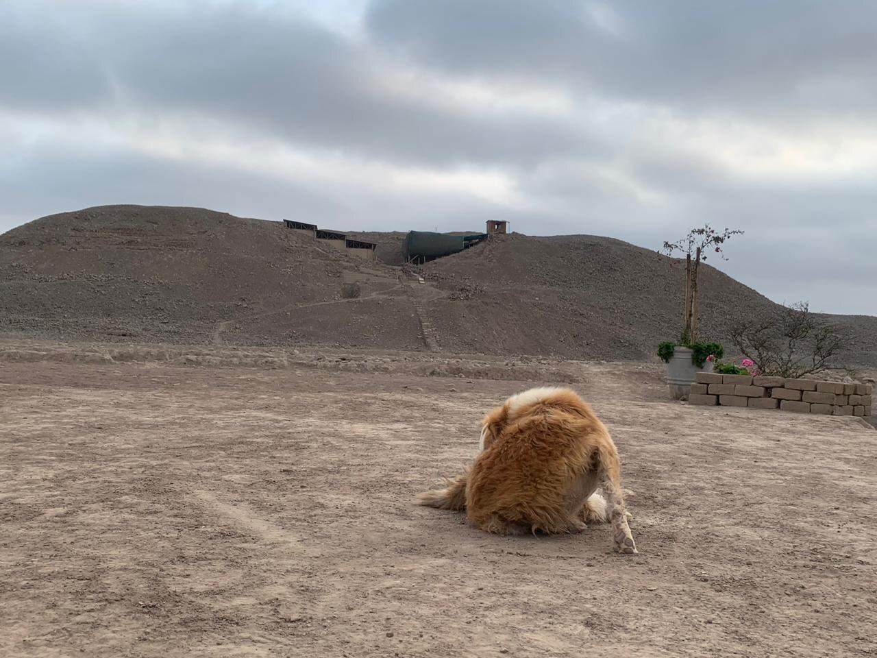 Huaca Garagay 的照片