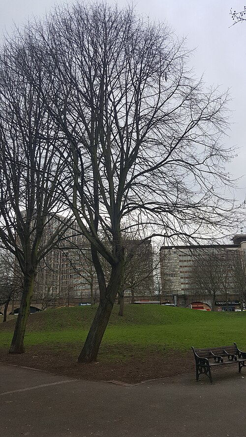 Vauxhall Pleasure Gardens