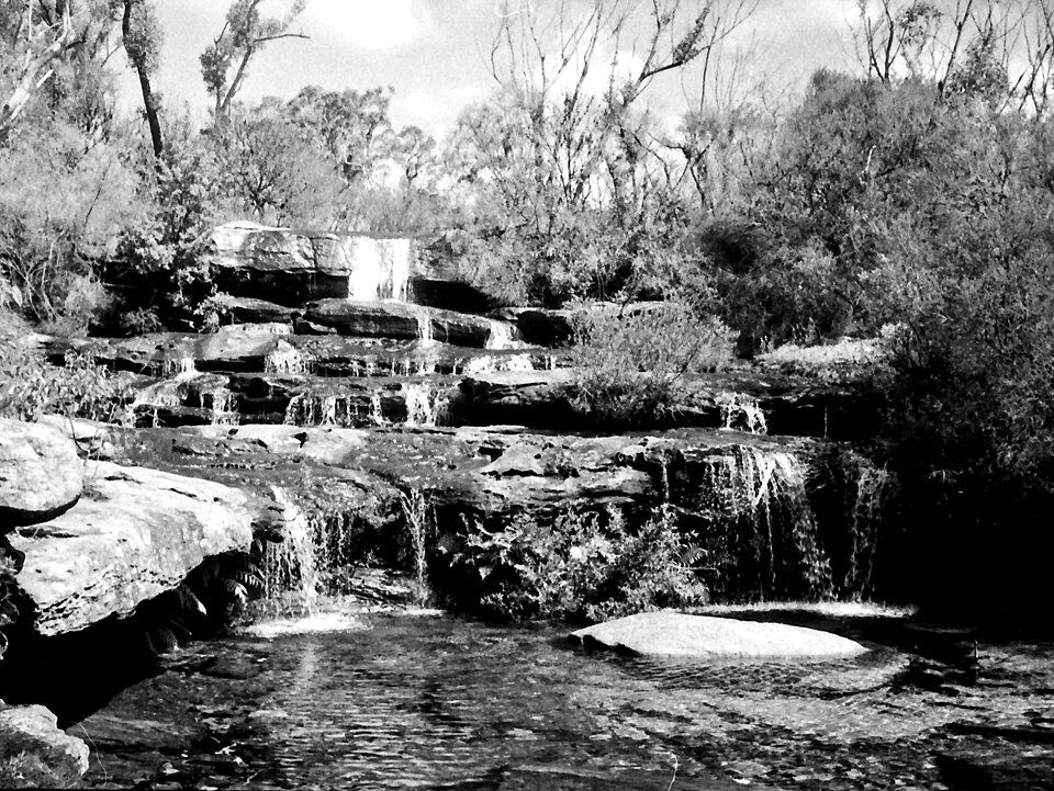 A photograph of Royal National Park