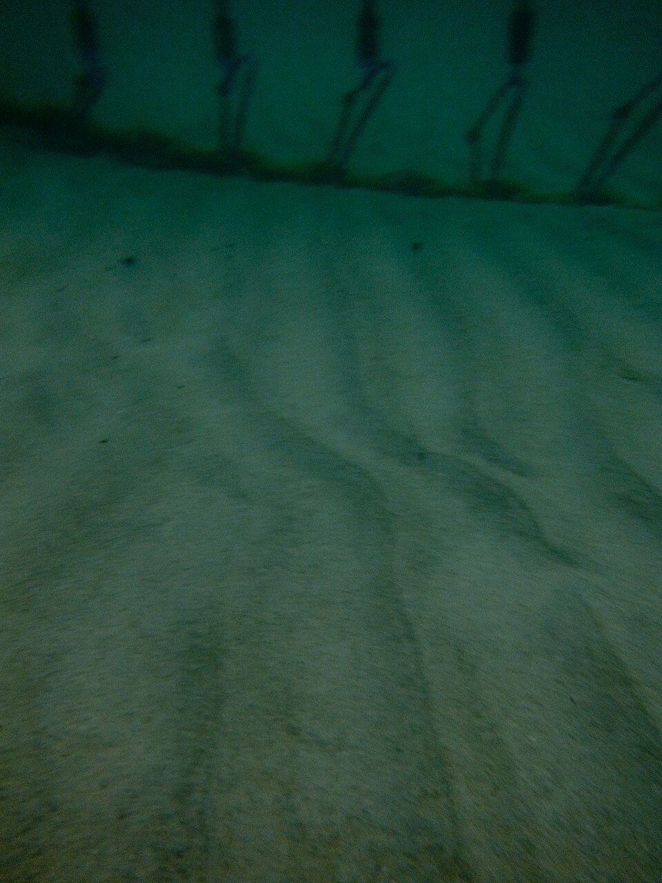 A photograph of Coogee Beach