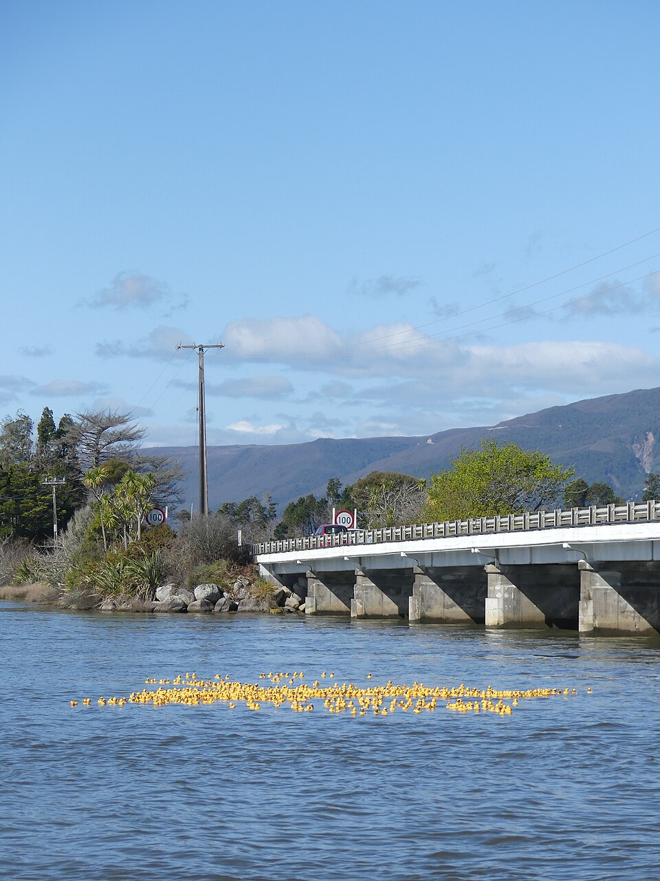 A photograph of Lucky Duck