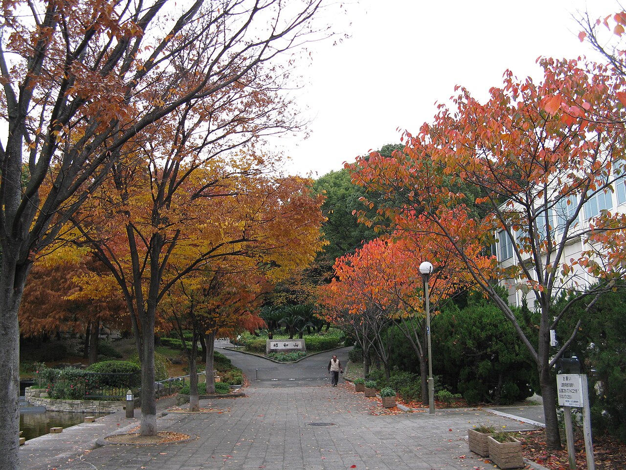 昭和山 fotoğrafı