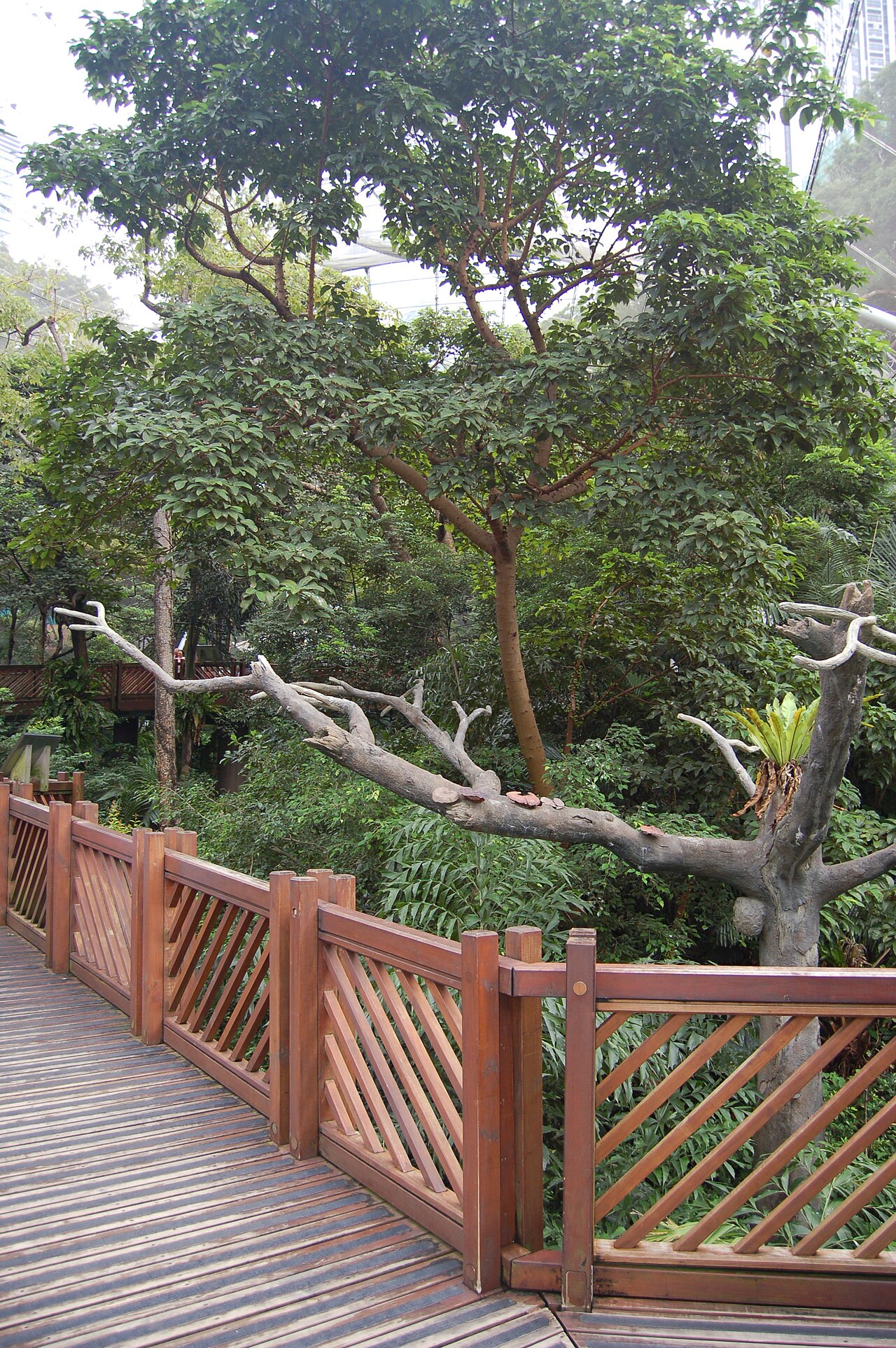 صورة Edward Youde Aviary