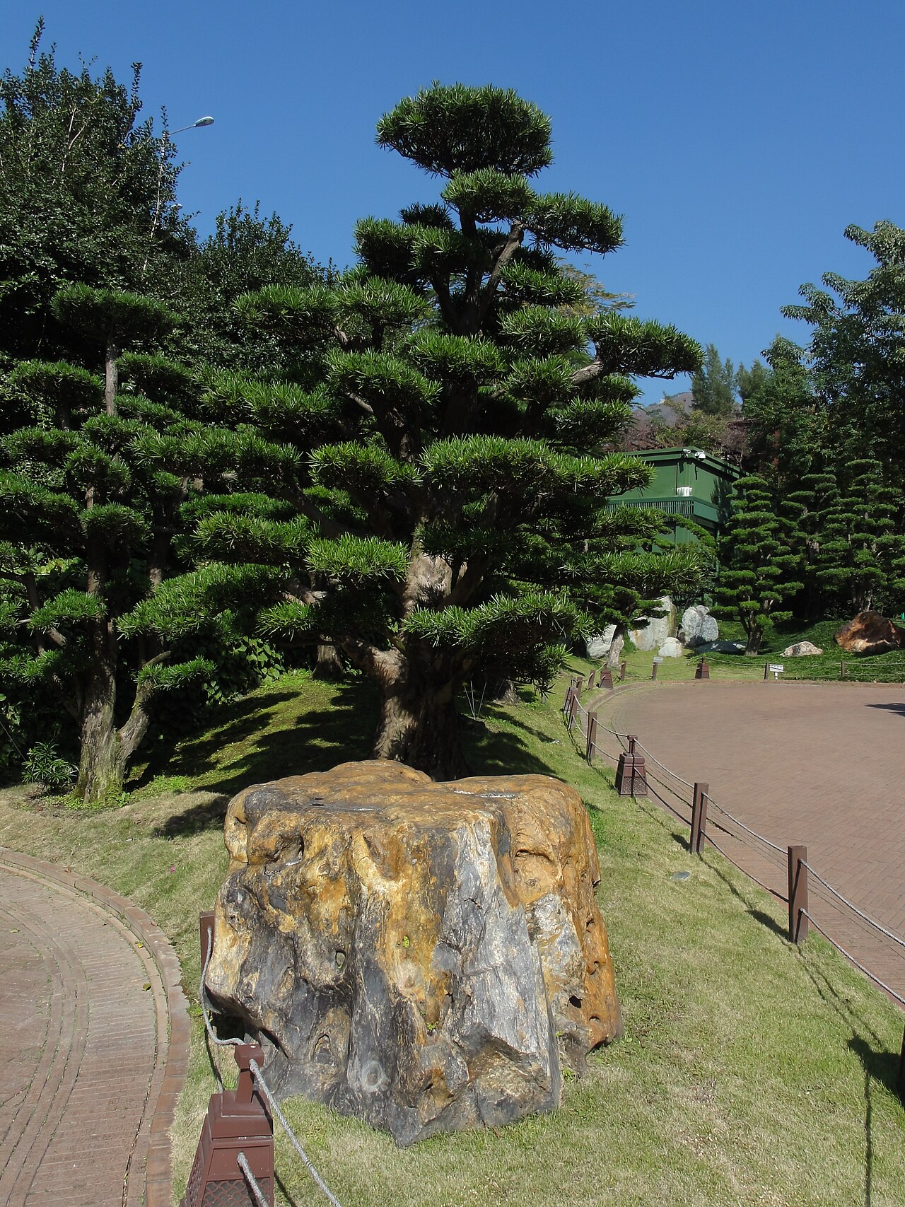 صورة Nan Lian Garden
