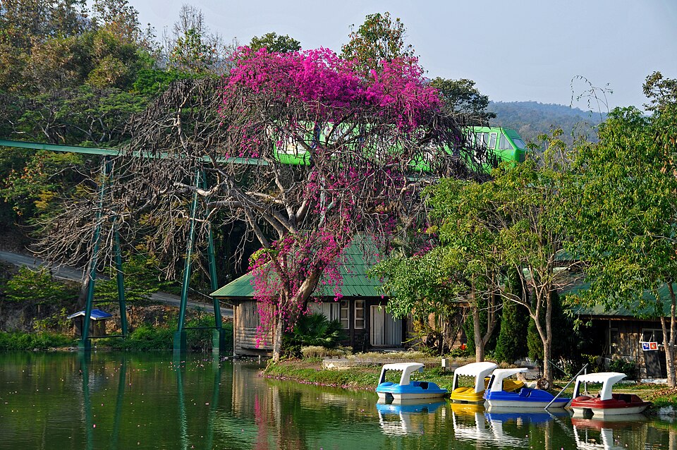 A photograph of Chiang Mai Zoo